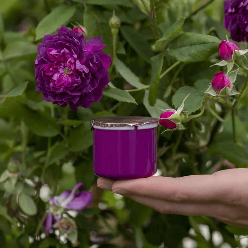 ROSE THERAPY REFILL CREMA - Image 2
