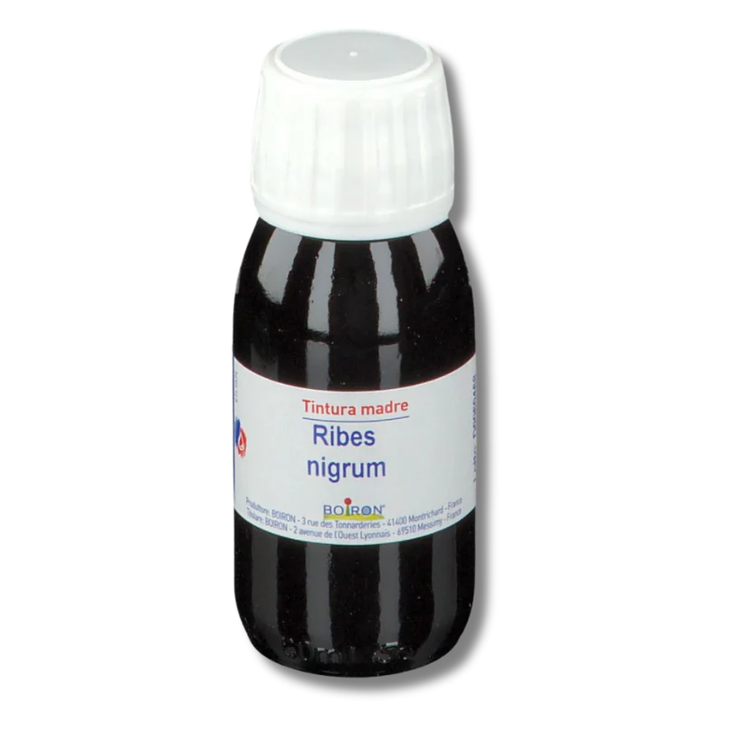 RIBES NIGRUM TINTURA MADRE 60 ML - Image 2